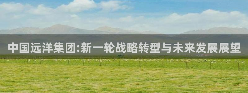 okpay钱包