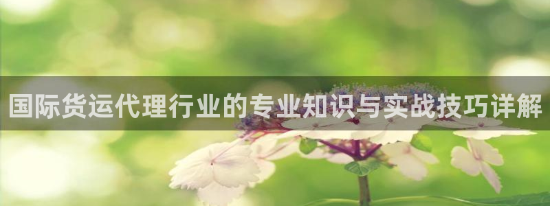 okpay支付钱包下载：国际货运代理行业的专业知识与实战