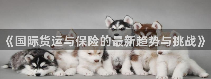 okpay钱包安卓官网下载：《国际货运与保险的最新趋势与