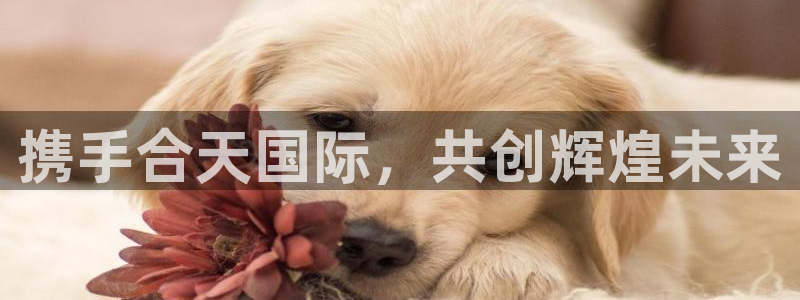 钱包okpay：携手合天国际，共创辉煌未来