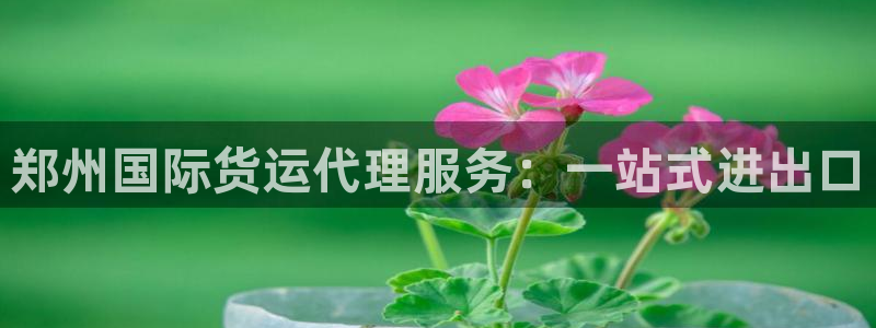 okpay钱包注册：郑州国际货运代理服务：一站式进出口