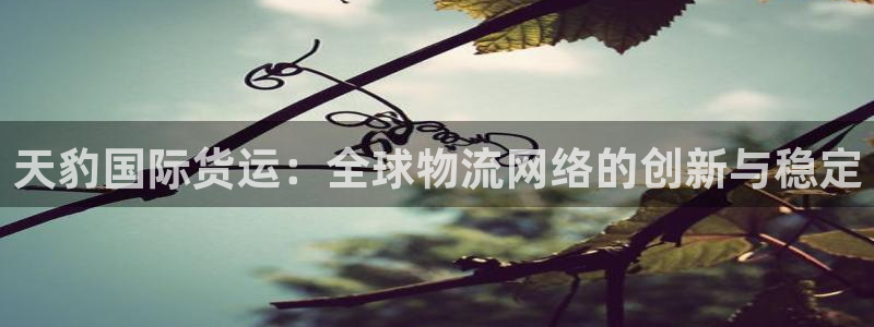 okpay钱包提现方法：天豹国际货运：全球物流网络的创新