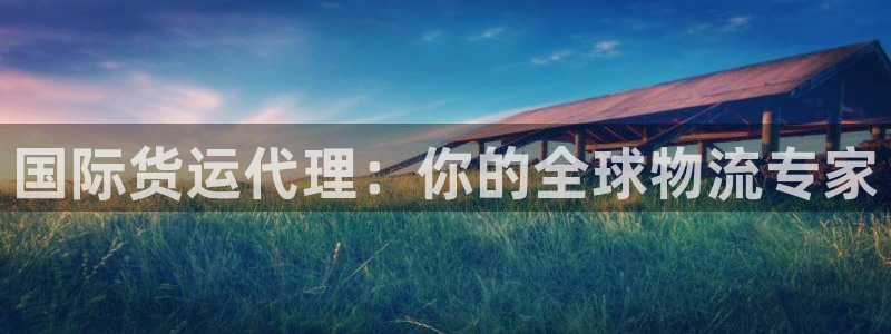 okpay钱包安全吗：国际货运代理：你的全球物流专家