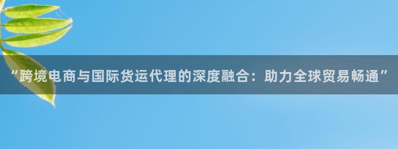 okpay钱包安卓版下载：“跨境电商与国际货运代理的深度
