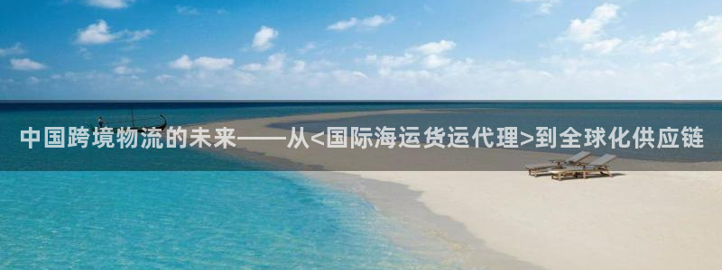 okpay钱包怎么提现：中国跨境物流的未来——从<国际海