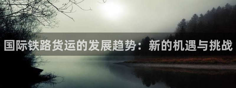 数字钱包okpay：国际铁路货运的发展趋势：新的机遇与挑