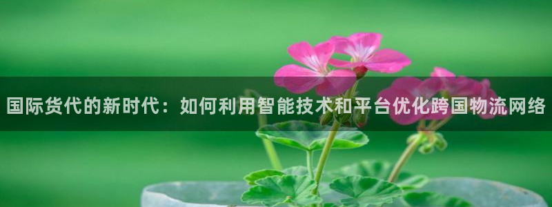 okpay钱包下载网址：国际货代的新时代：如何利用智能技
