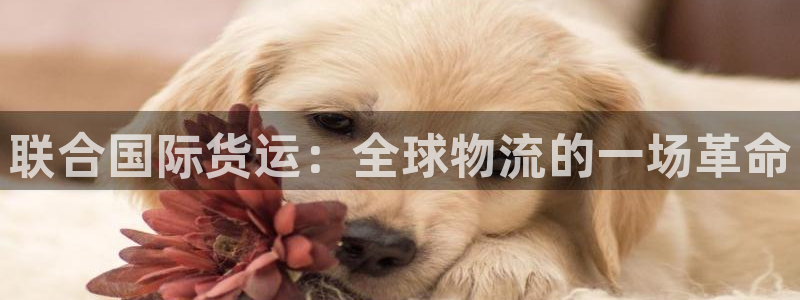 okpay钱包下载方式：联合国际货运：全球物流的一场革命