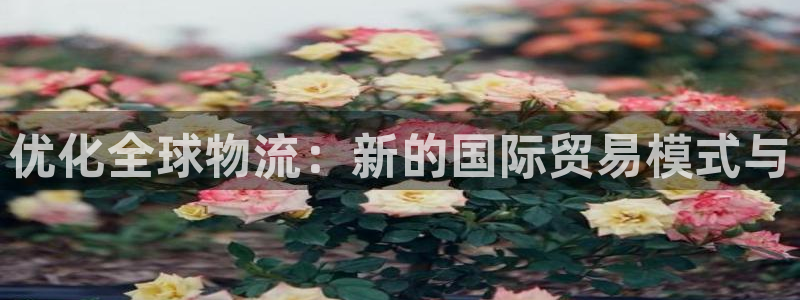 okpay钱包app下载安卓：优化全球物流：新的国际贸易