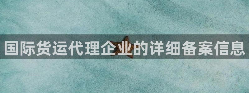 okpay钱包是啥：国际货运代理企业的详细备案信息