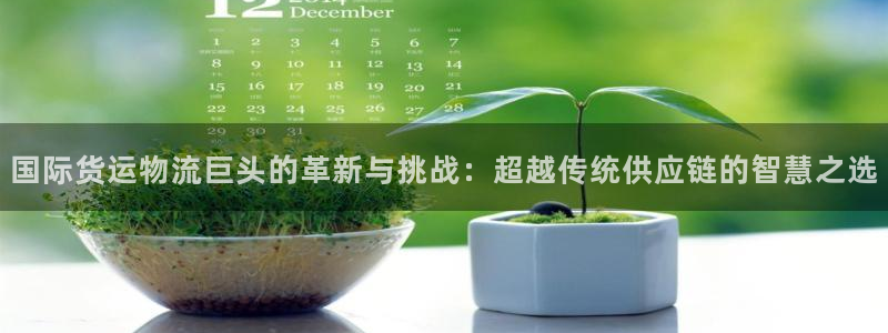 钱包okpay：国际货运物流巨头的革新与挑战：超越传统供