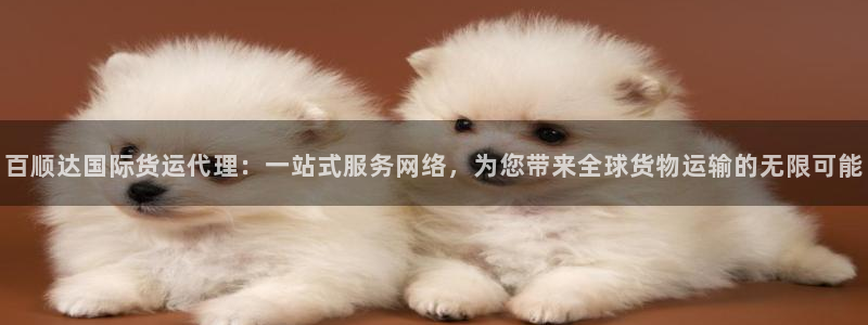 okpay是哪个国家的钱包：百顺达国际货运代理：一站式服