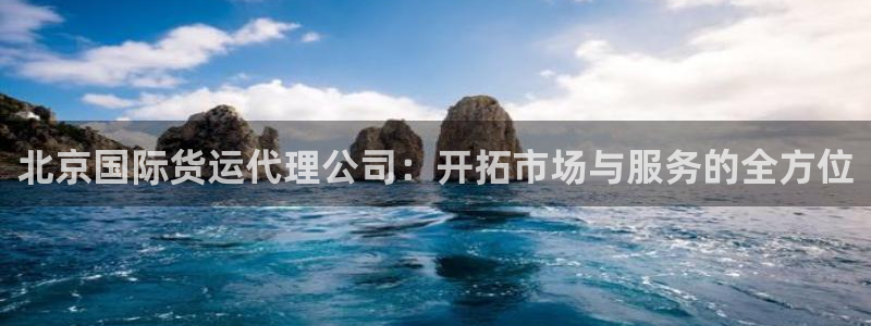 okpay支付钱包官网：北京国际货运代理公司：开拓市场与
