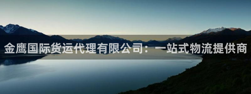 okpay是什么钱包：金鹰国际货运代理有限公司：一站式物
