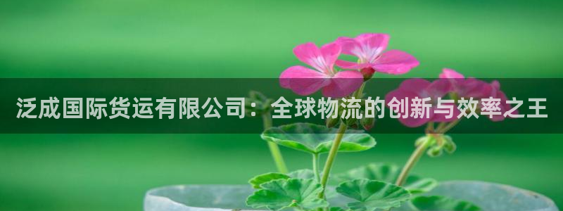 okpay钱包最新版安装方法：泛成国际货运有限公司：全球