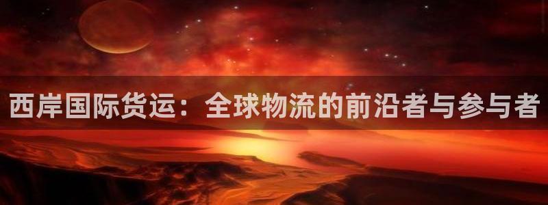 okpay钱包会被查吗：西岸国际货运：全球物流的前沿者与