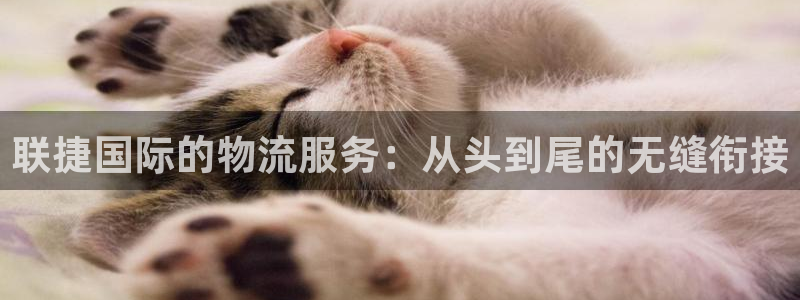 okpay钱包安卓官网下载：联捷国际的物流服务：从头到尾
