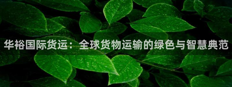 okpay支付钱包下载最新：华裕国际货运：全球货物运输的