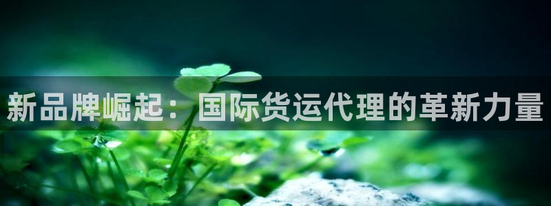 okpay钱包怎么提现到微信：新品牌崛起：国际货运代理的