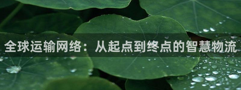 okpay钱包客服怎么联系：全球运输网络：从起点到终点的