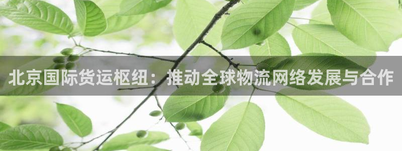 okpay钱包地址在哪里：北京国际货运枢纽：推动全球物流