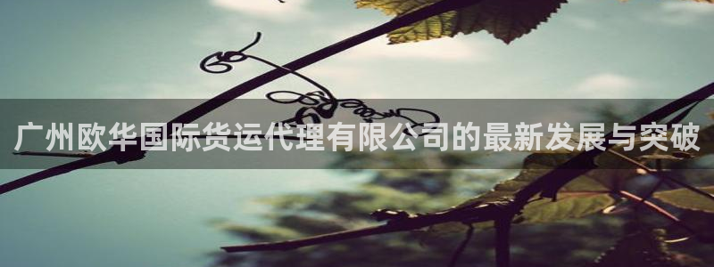 okpay数字钱包：广州欧华国际货运代理有限公司的最新发