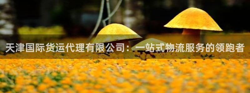 okpay钱包教程：天津国际货运代理有限公司：一站式物流