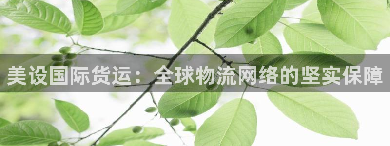 okpay支付钱包下载最新：美设国际货运：全球物流网络的