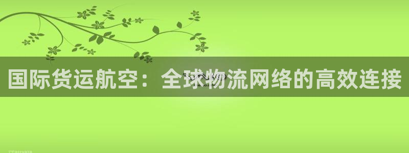 数字钱包okpay：国际货运航空：全球物流网络的高效连接