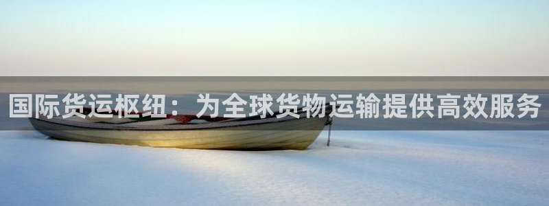 okpay钱包最新版安卓版：国际货运枢纽：为全球货物运输