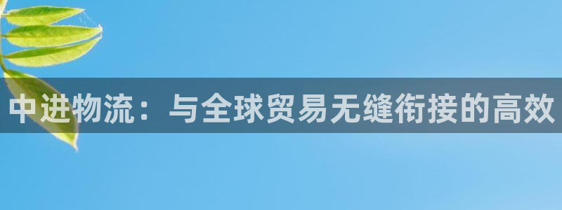 okpay钱包官网下载：中进物流：与全球贸易无缝衔接的高