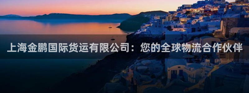 okpay钱包是正规平台吗：上海金鹏国际货运有限公司：您