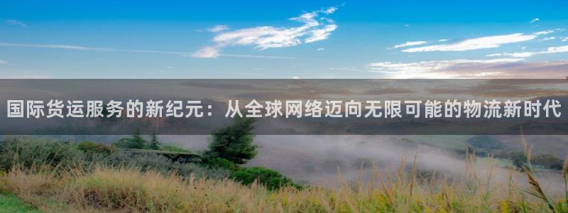 网赌虚拟币okpay钱包：国际货运服务的新纪元：从全球网