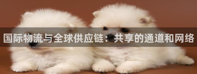 okpay钱包最新版安装方法：国际物流与全球供应链：共享
