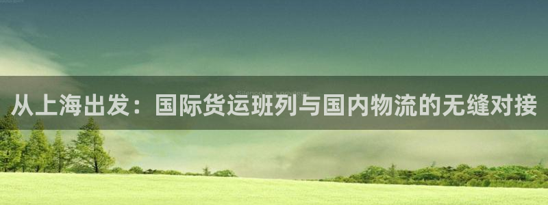 okpay钱包最新版本：从上海出发：国际货运班列与国内物