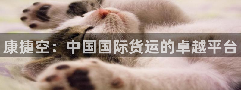 okpay钱包下载网址：康捷空：中国国际货运的卓越平台